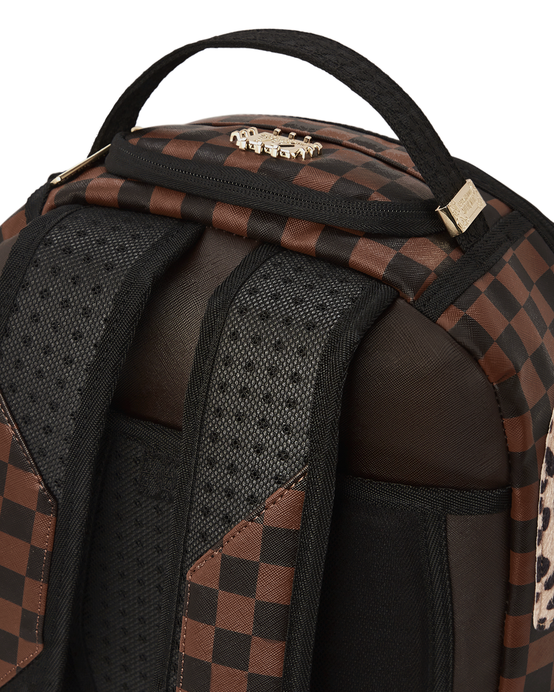 A.i.3 THE LEGACY BACKPACK (DLXV)